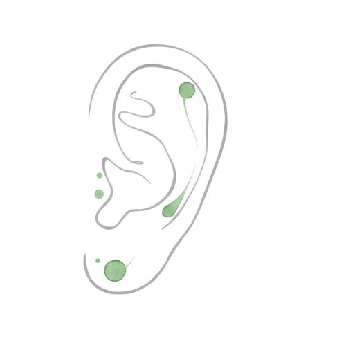 Ícone da Auriculoterapia